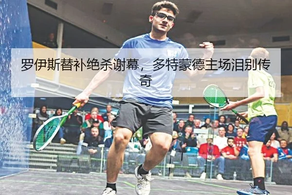 罗伊斯替补绝杀谢幕，多特蒙德主场泪别传奇
